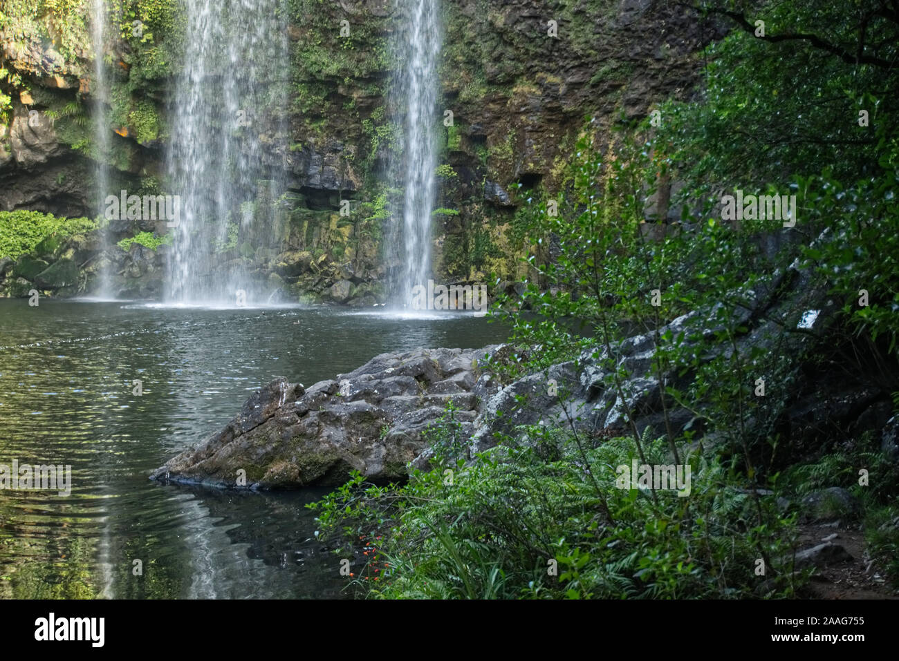 Whangarei Falls an der Basis Stockfoto