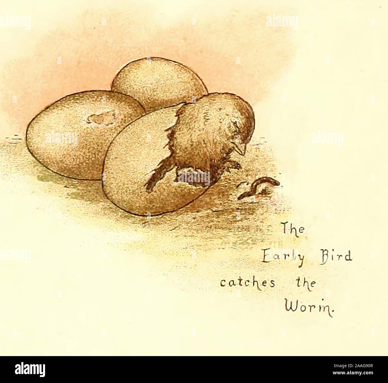 Der frühe Vogel fängt den Wurm - Vintage Abbildung: Alte Sprichwort Stockfoto