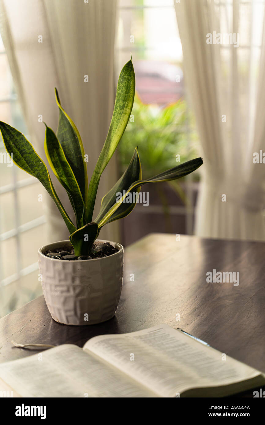 Das persönliche Gebet Zeit ein Haus Anlage mit einer aufgeschlagenen Bibel neben einem Fenster Stockfoto