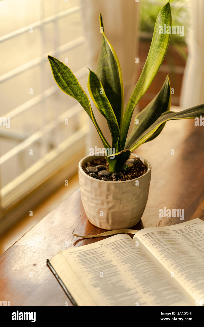 Die christliche Hingabe zu zeigen ein Haus Anlage mit einer aufgeschlagenen Bibel neben einem Fenster Stockfoto