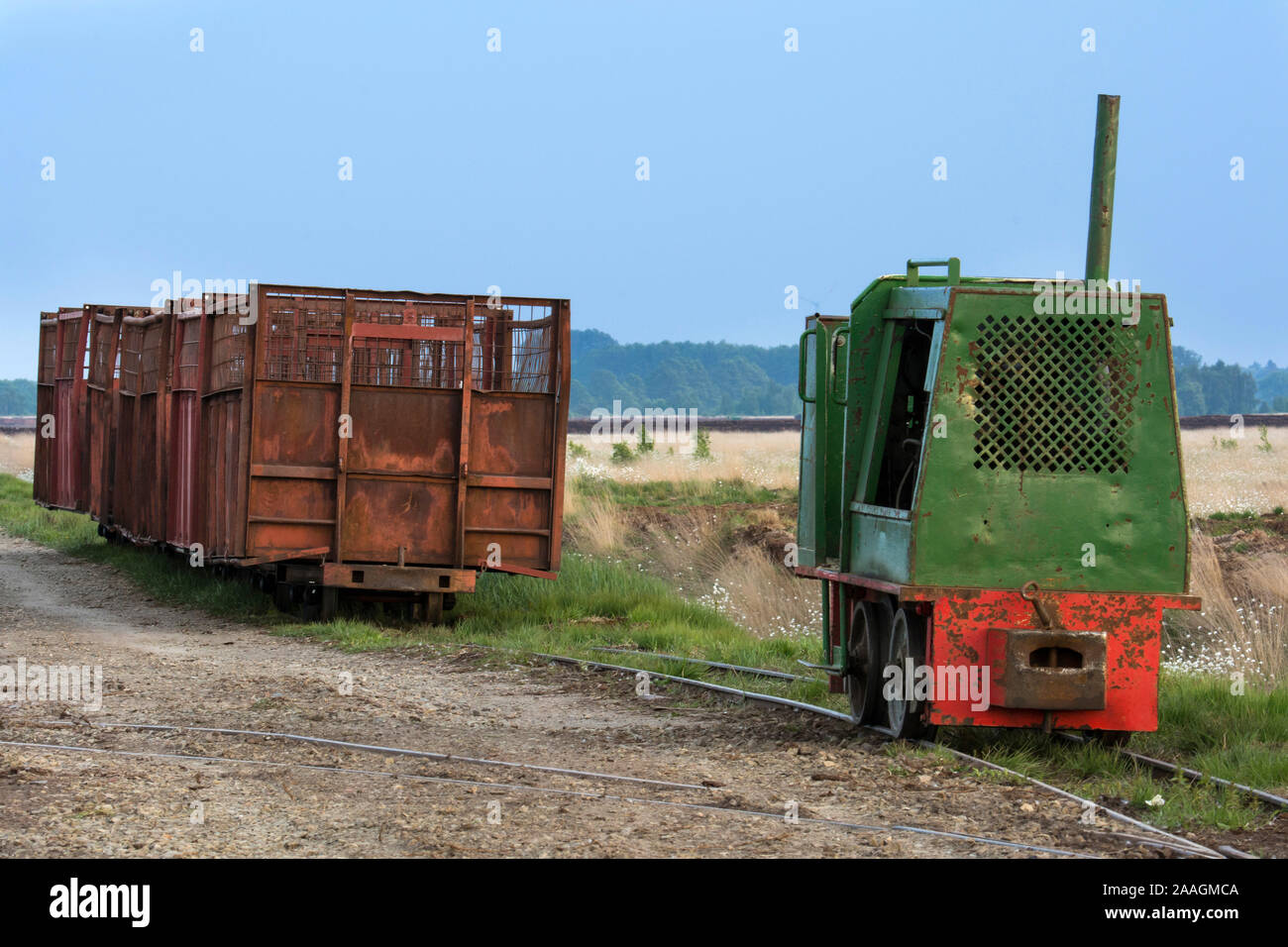 Moorbahn im Moor, Niedersachsen Stockfoto