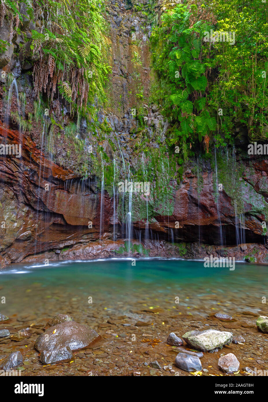 25 Quellen, 25 Fontes, Rabacal, Madeira Stockfoto