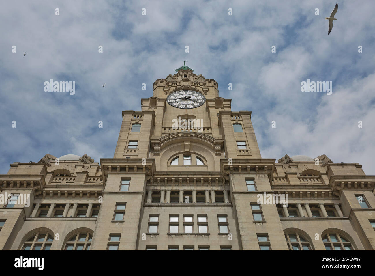 Liverpools historischen Liver Building und Clocktower, Liverpool, England, Vereinigtes Königreich. Liverpool, in der North West England, ist eine große Stadt und Metropol Stockfoto