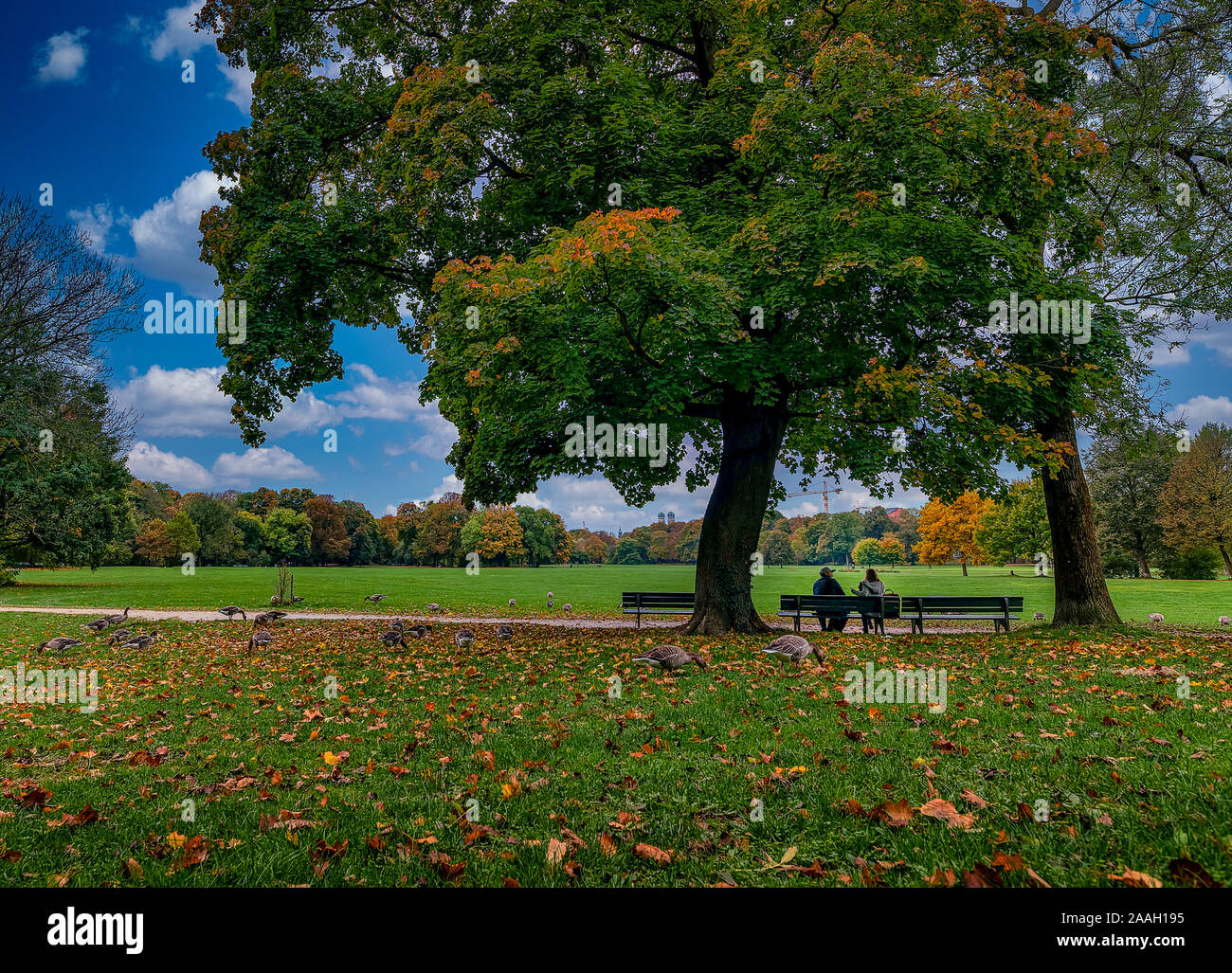 Das glückliche Paar sitzt auf einer Bank mit Enten im Vordergrund, in den Englischen Garten in München. Stockfoto