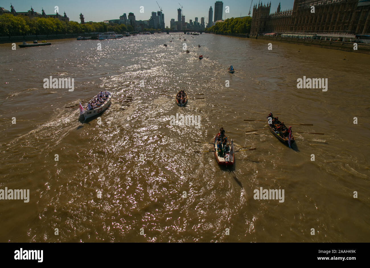 Mannschaften, die in der Great River Race 2019 bis an den Fluss unter Westminster Bridge Stockfoto