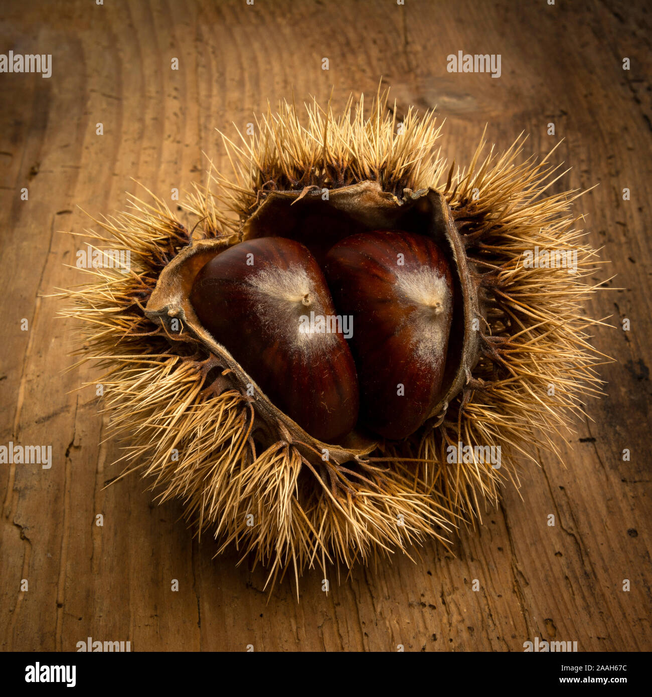 Kastanien auf einem Holztisch. Stockfoto