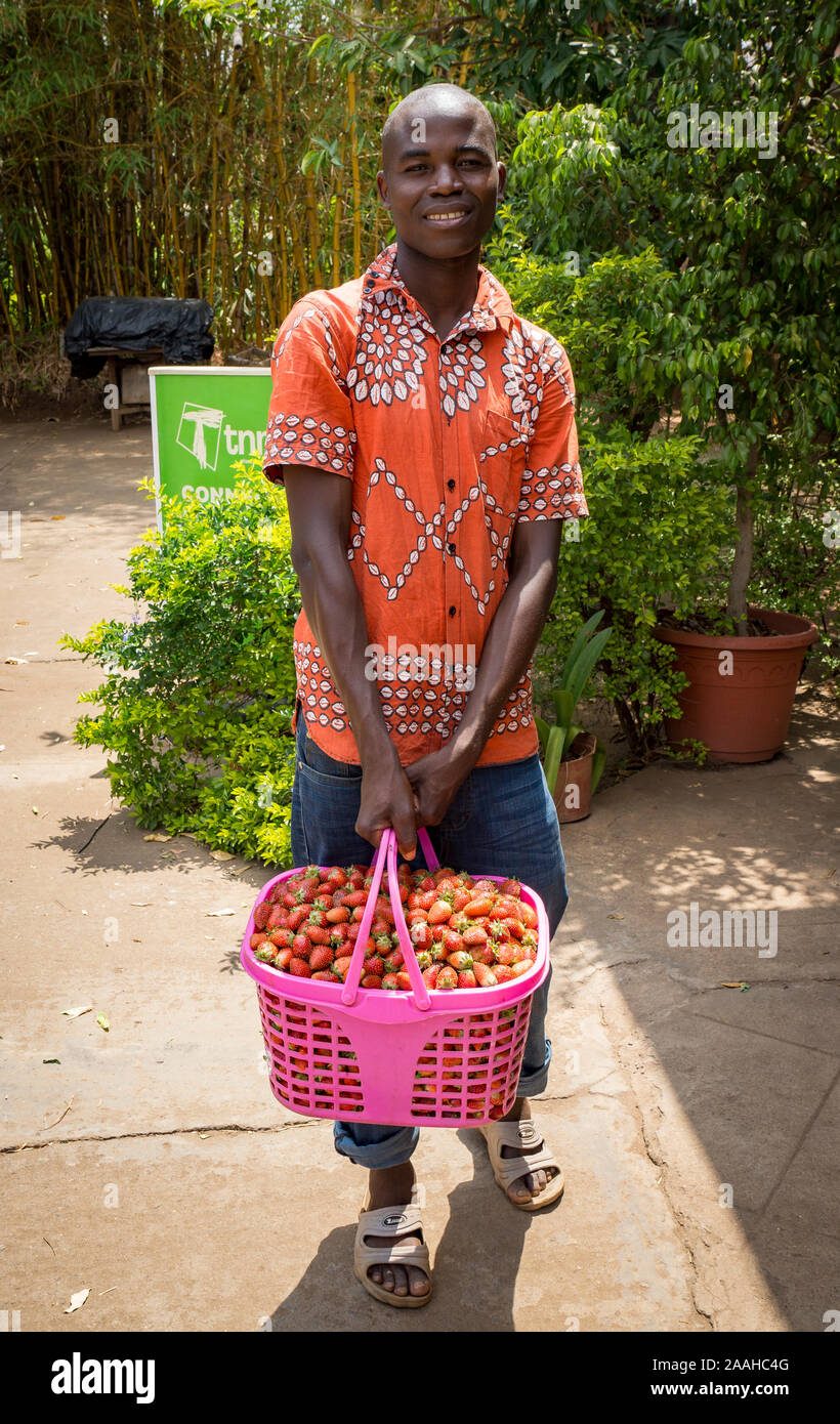 Mann hält einen Korb mit Erdbeeren außerhalb ein Hotel in Lilongwe, Malawi Stockfoto