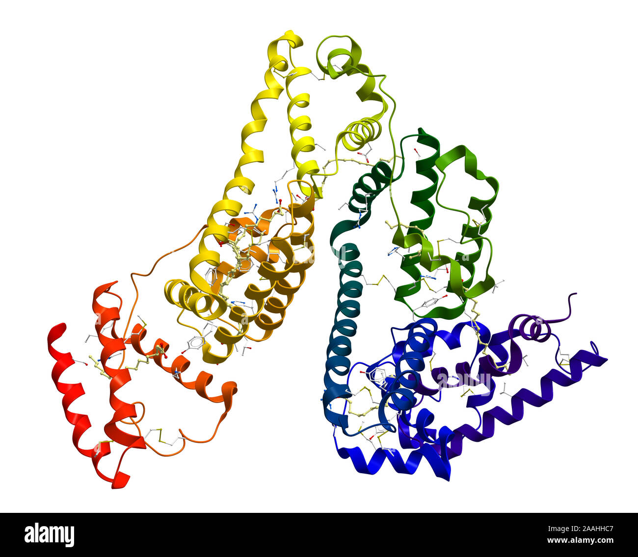 Molekulare Struktur des Serumalbumins Stockfoto