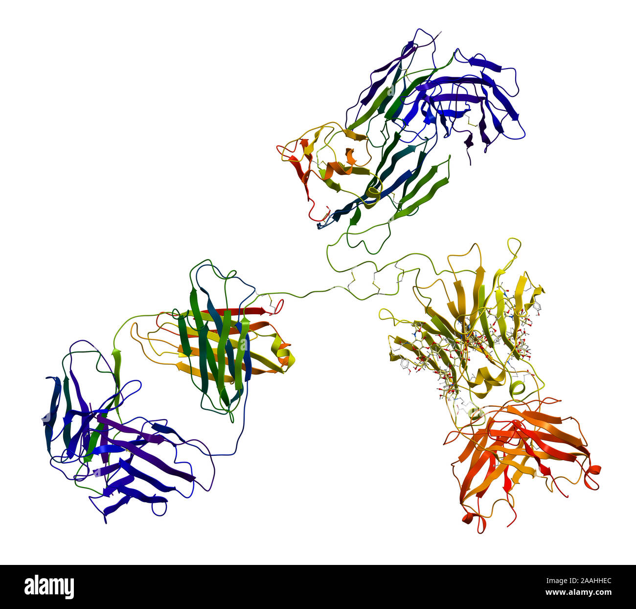 Immunglobulin Molekül Stockfoto