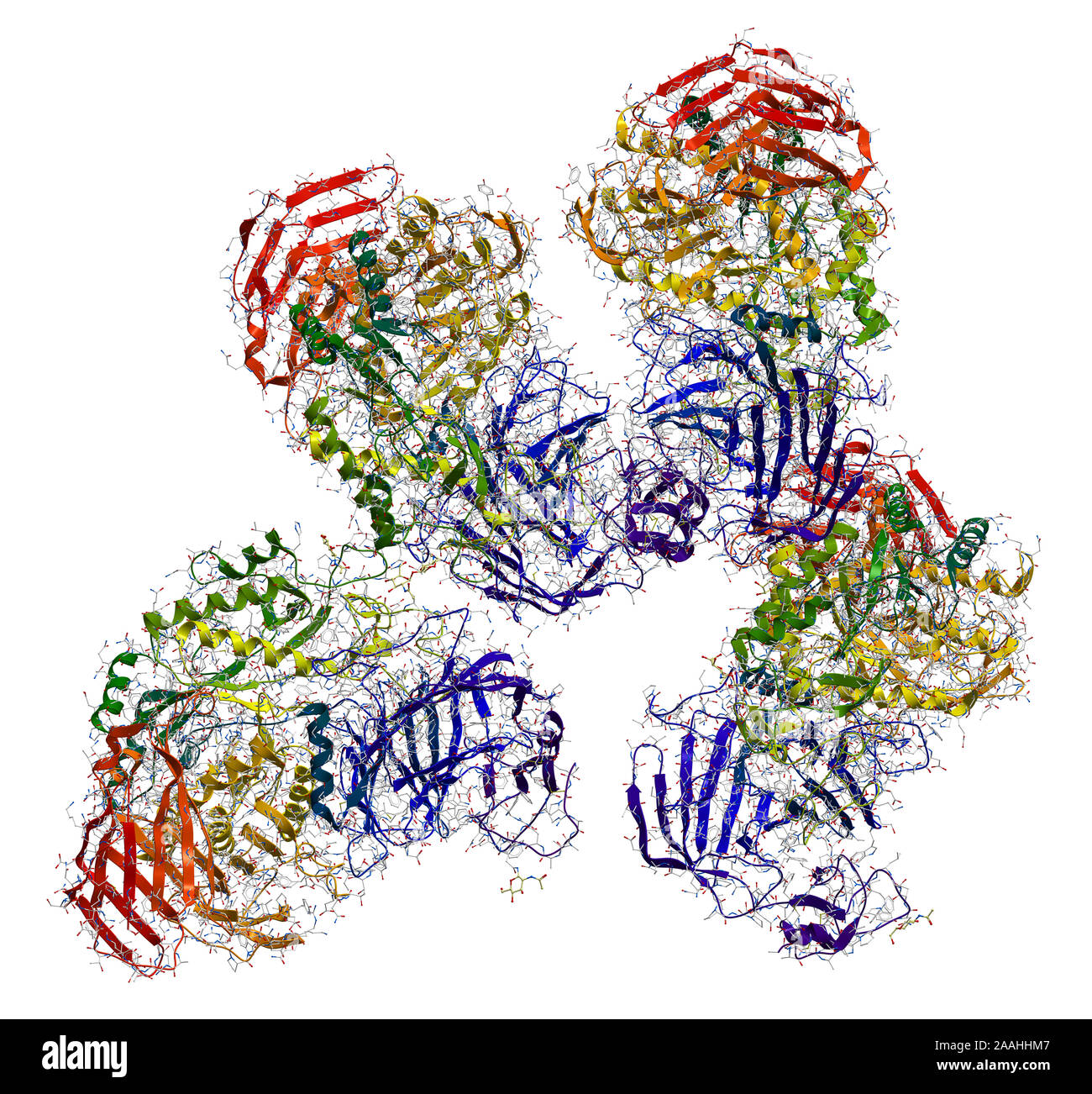 Sucrase-isomaltase-Enzym Struktur Stockfoto