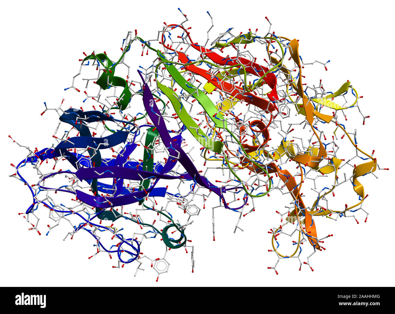 Pepsin enzyme molecule digestive enzyme -Fotos und -Bildmaterial in ...
