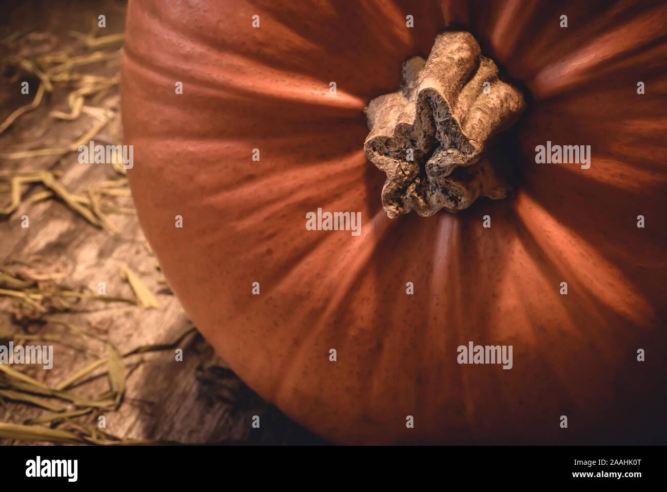 Nahaufnahme des Big Orange saisonalen Herbst Kürbis mit Stammzellen auf ländlichen natürliche Holz und Heu in der Landschaft - Begriff der traditionellen Halloween Feier Stockfoto