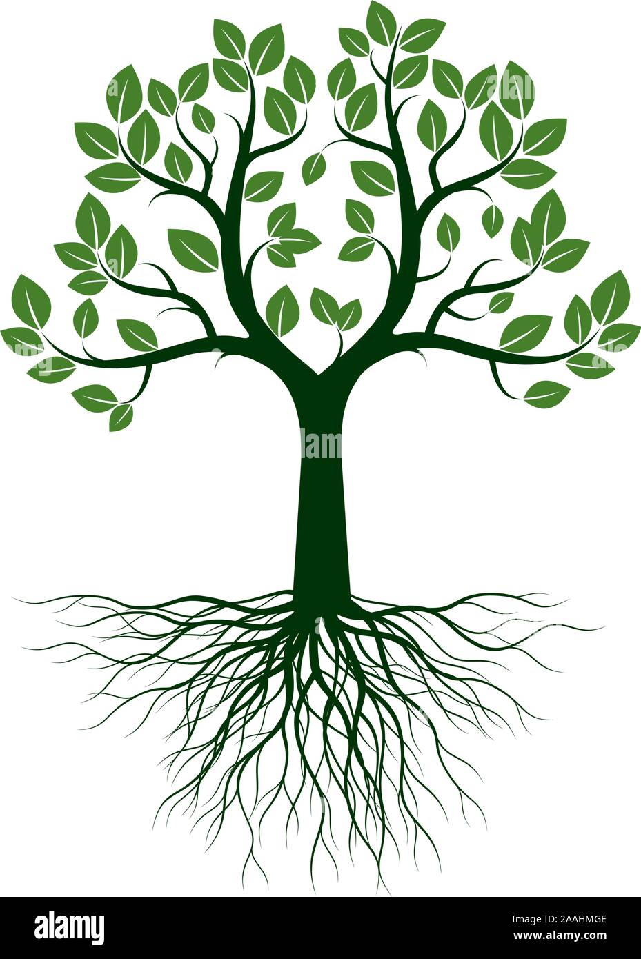 Grüner Baum mit Blättern und Wurzeln. Vektor Kontur Abbildung. Pflanze im Garten. Stock Vektor