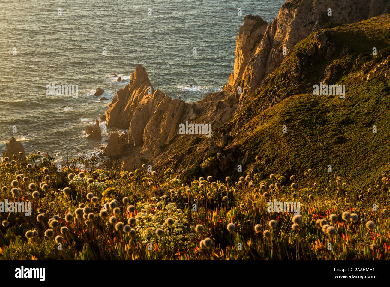 Roca Cape Klippen bei Sonnenuntergang. Nationalpark Sintra Cascais, Portugal Stockfoto