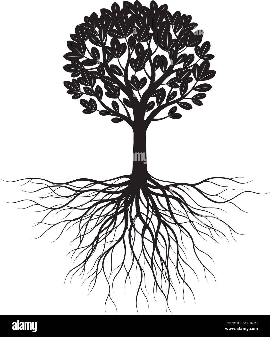 Baum mit Blättern und Wurzeln. Vektor Kontur Abbildung. Pflanze im Garten. Stock Vektor