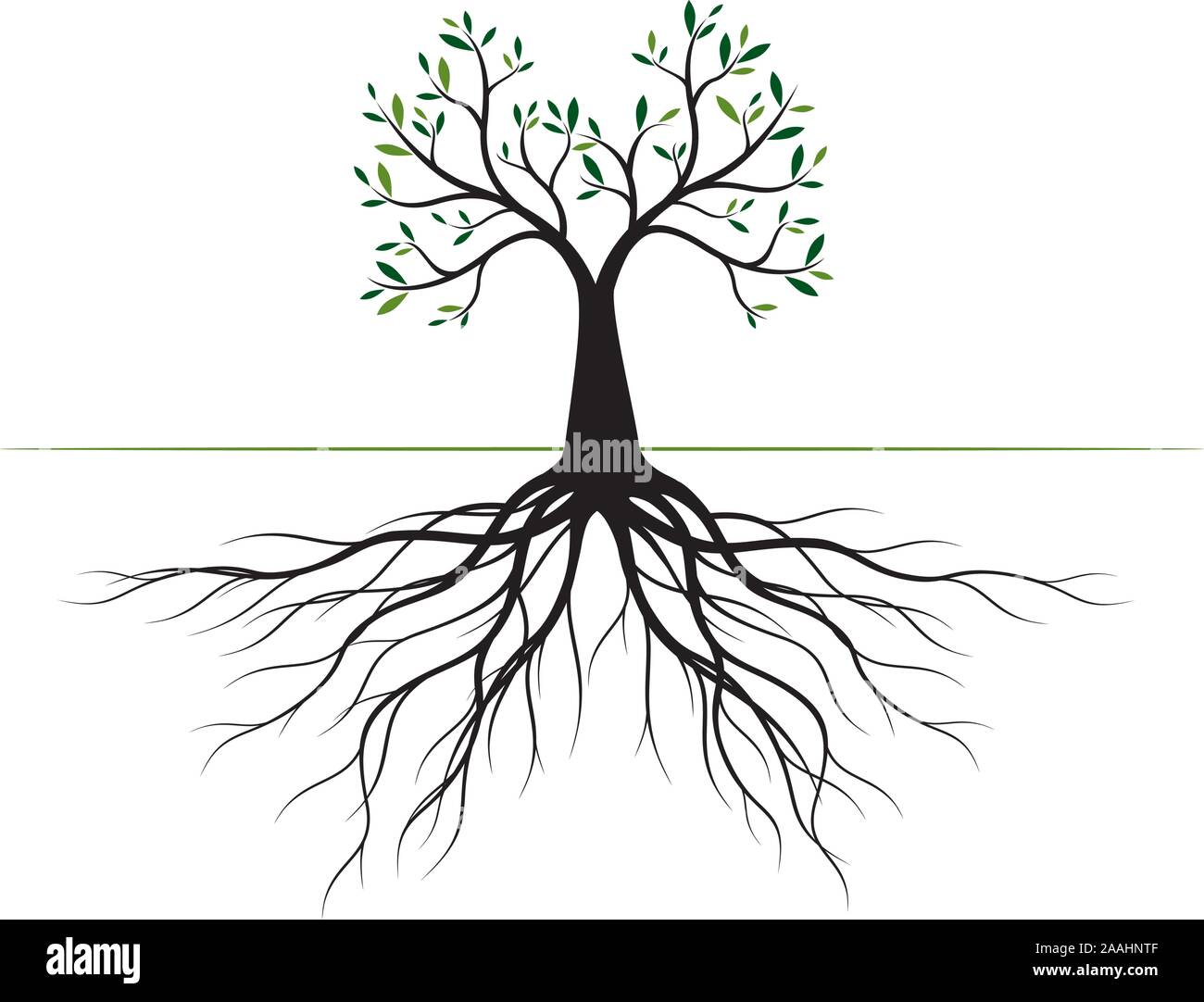 Baum mit Blättern und Wurzeln. Vektor Kontur Abbildung. Pflanze im Garten. Stock Vektor