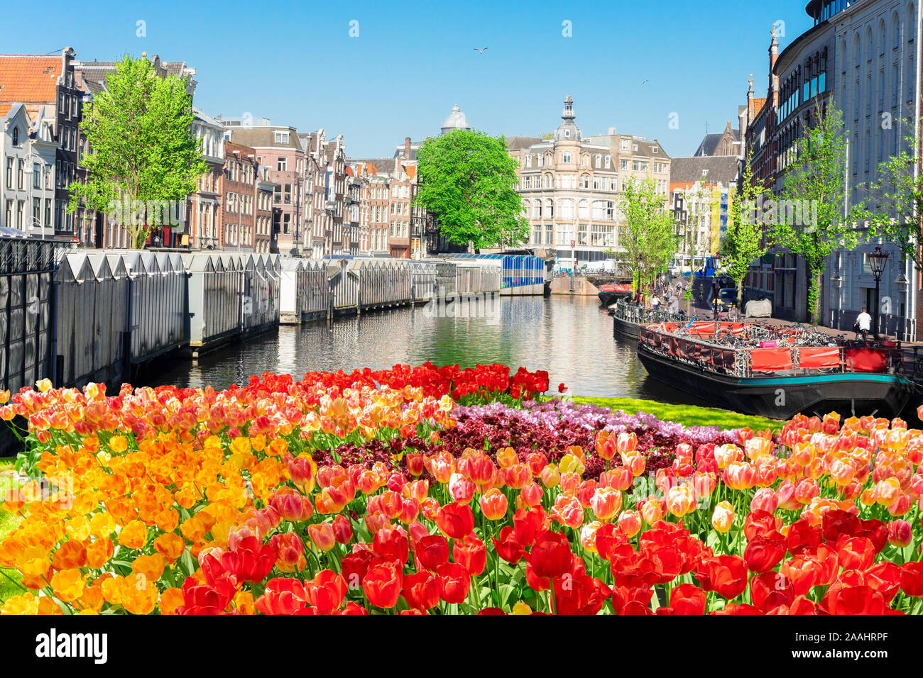 Munt Tower, Amsterdam, Niederlande Stockfoto