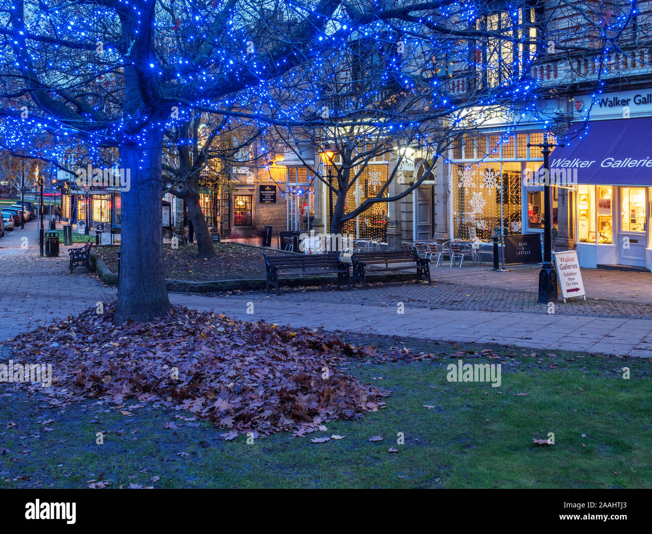 Blau faity Lichter in einem Baum in der Montpellier Viertel in der Dämmerung an Weihnachten Harrogate, North Yorkshire England Stockfoto