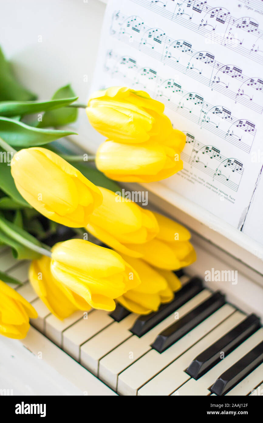 Gelbe Tulpen auf einem weißen Piano mit Notizen Stockfoto