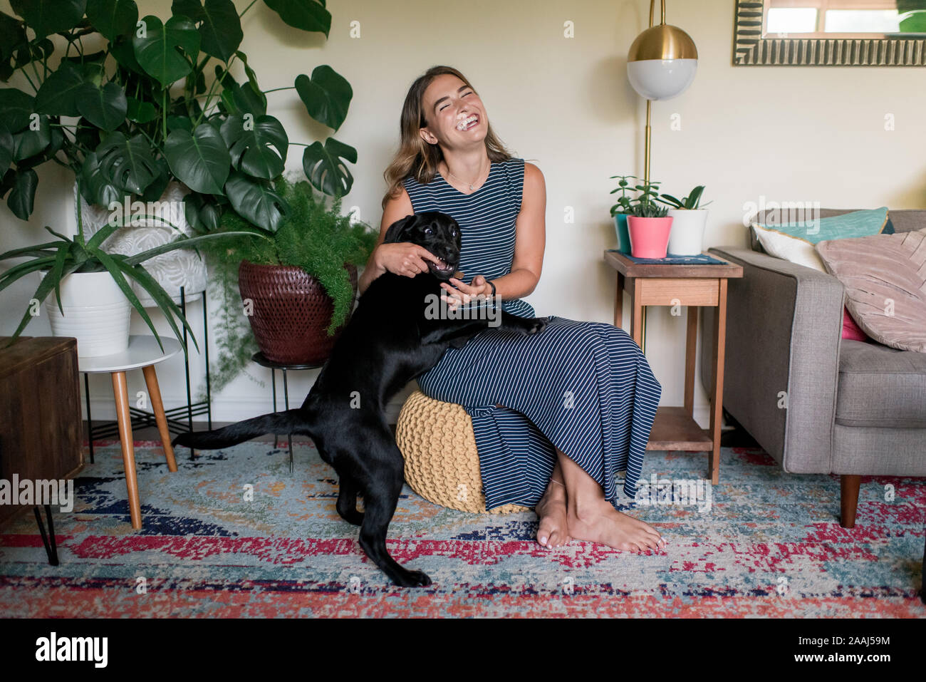 Herzlichen Hund auf dem Schoß der Frau Stockfoto