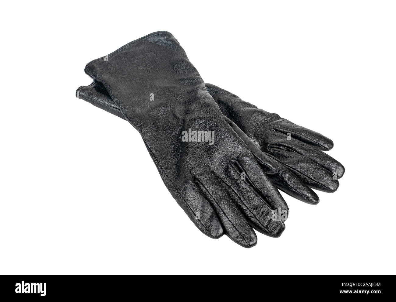 Frauen Handschuhe lang Leder schwarz auf weißem Hintergrund Stockfoto