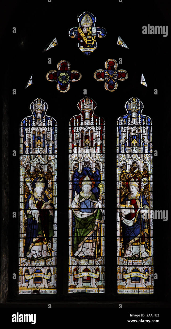 Ein Glasfenster von Burlison & Grylls, Heiligen Elbod, David und Cyndeyrn, Bangor Cathedral, Bangor, Gwynedd, Wales Stockfoto