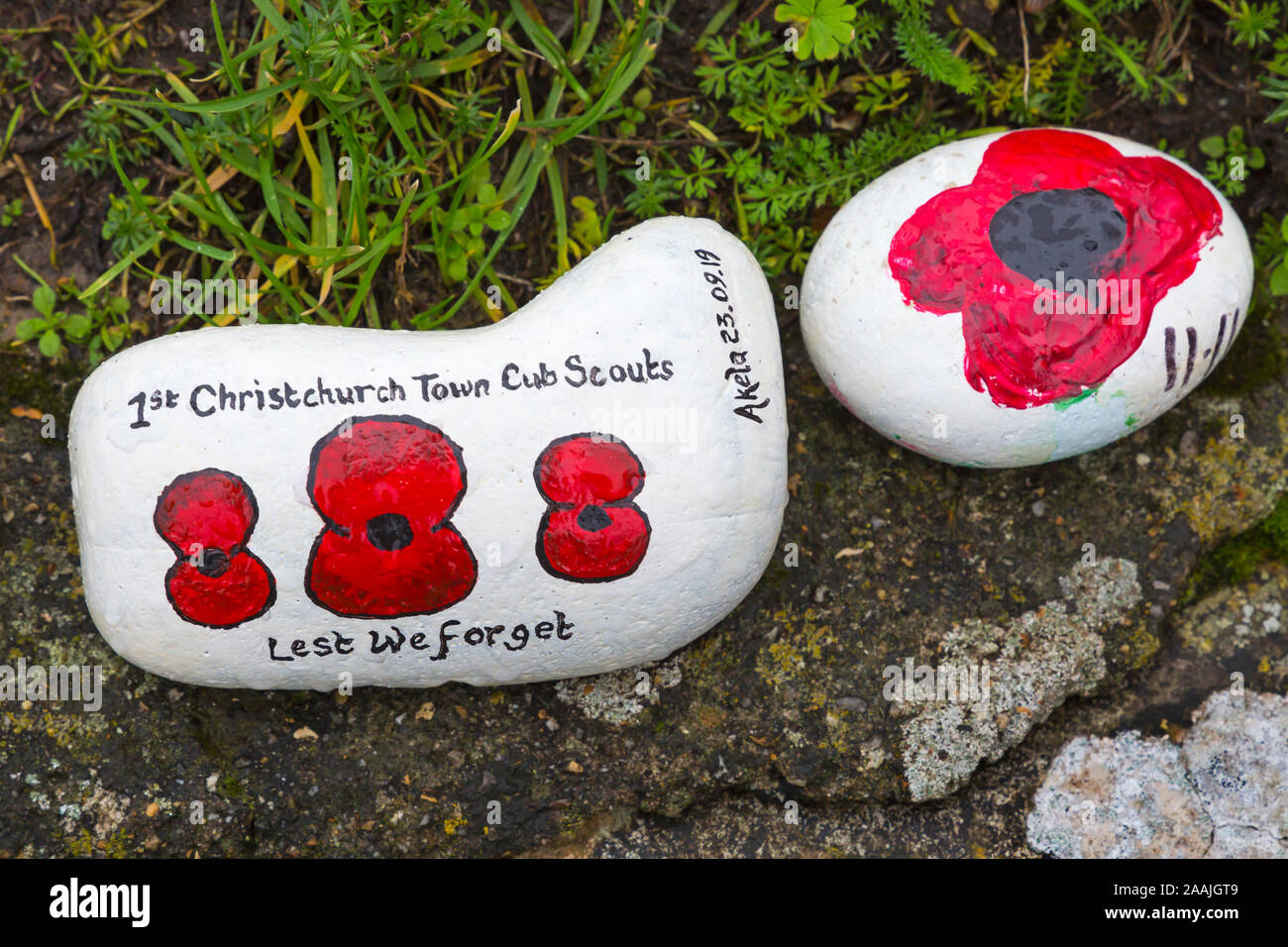 Steine Steine für den Tag der Erinnerung in einer Reihe, die bis zu den Eingang von Christchurch Priory, Dorset Großbritannien im November IN EINE REIHE gelegt lackiert Stockfoto