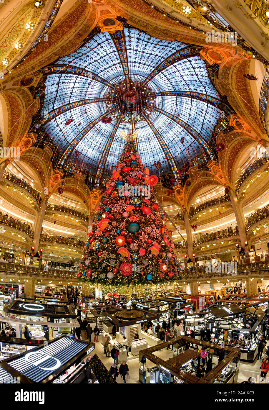 PARIS, Frankreich, 21. November 2019: Die 2019 Weihnachtsbaum hat bei Galeries Lafayette Departement Store angekommen, mit seinen herrlichen Jugendstil Kuppel. Stockfoto