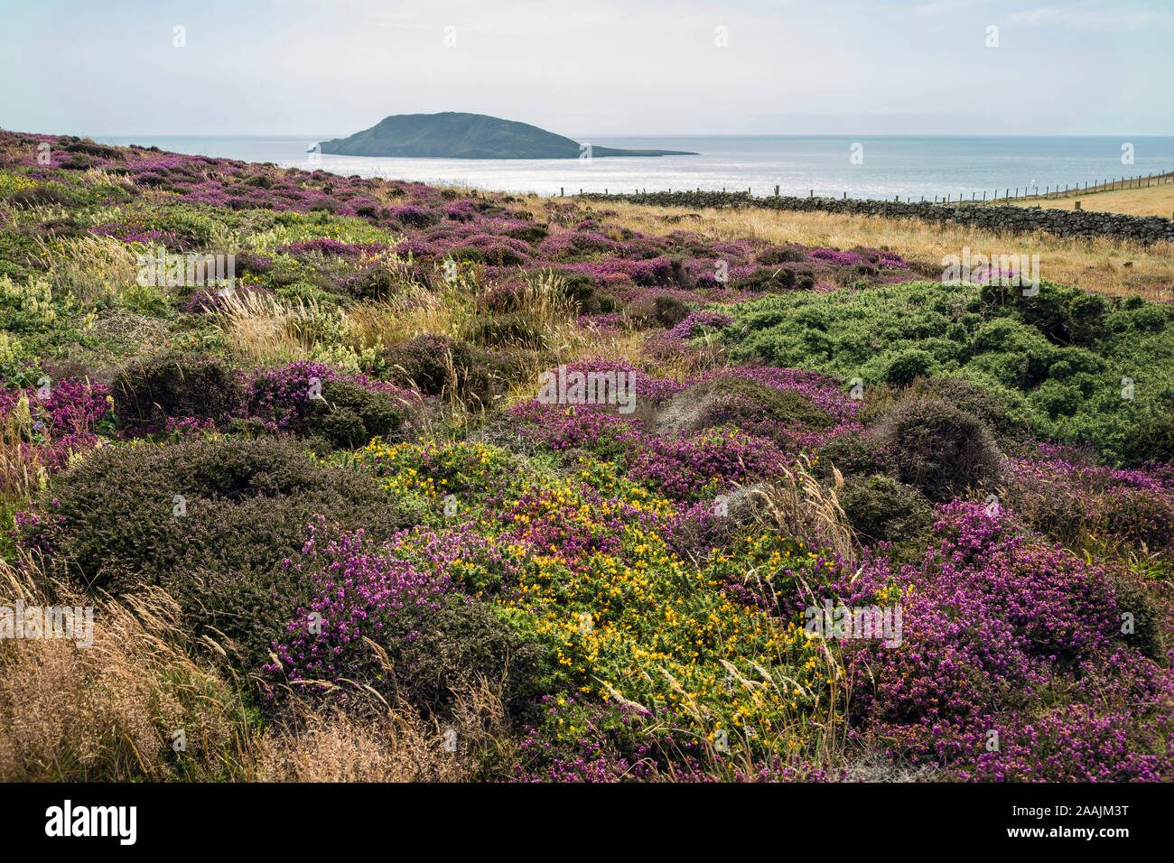 Bardsey Island von Pen-y-Cil, Halbinsel Llŷn, Gwynedd, Wales Stockfoto