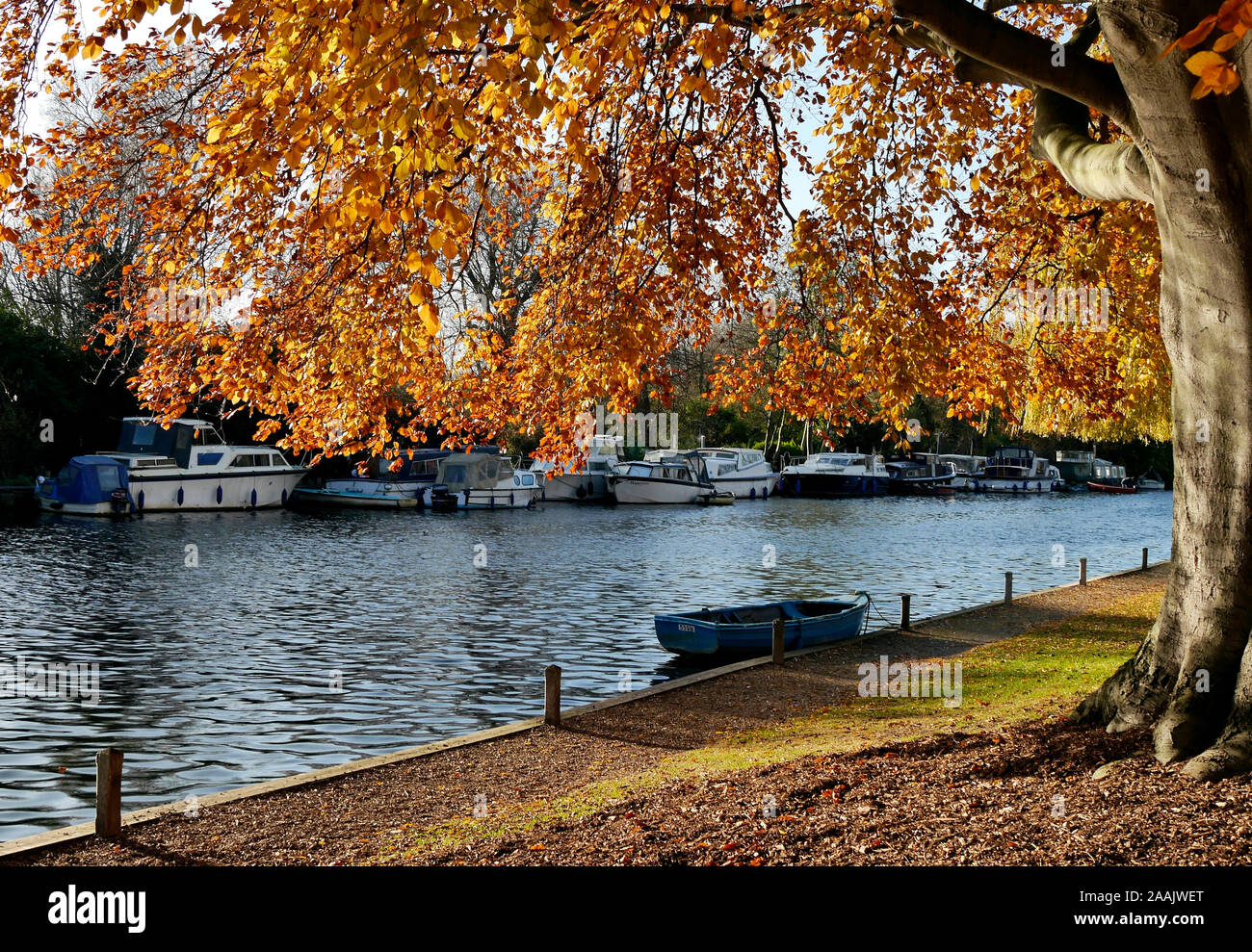 Herbstfarben entlang des Flusses Yare, Teil des Norfolk Broads National Park, Thorpe St Andrew, Norwich, Norfolk, England, Großbritannien Stockfoto