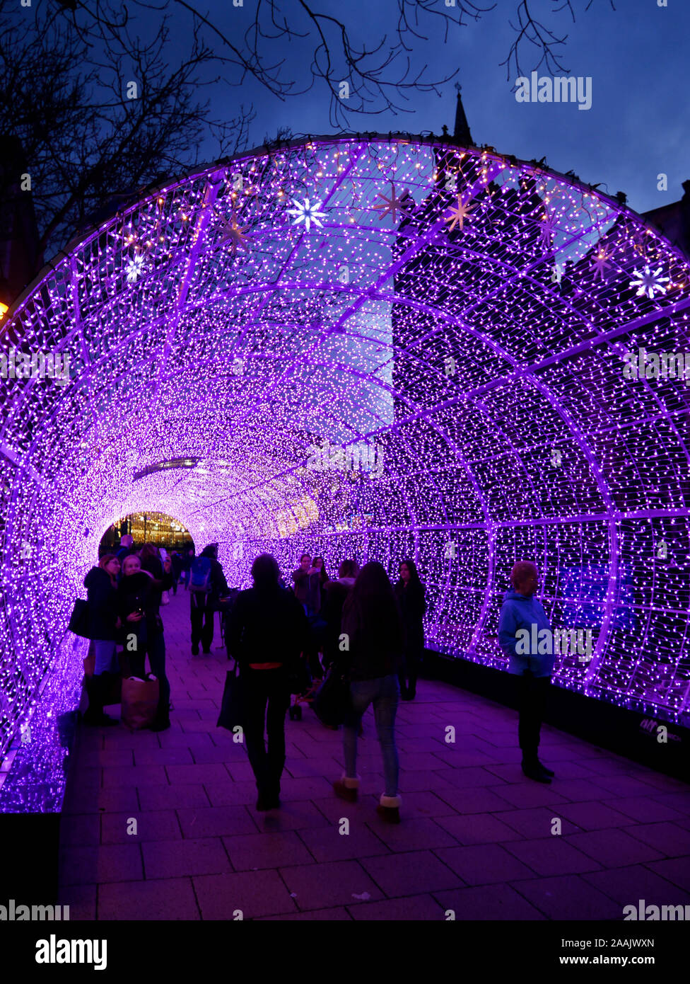 Der Tunnel des Lichts, Weihnachtsbeleuchtung, Nordlichterfahrung, in Norwich, Norfolk, England, Großbritannien Stockfoto