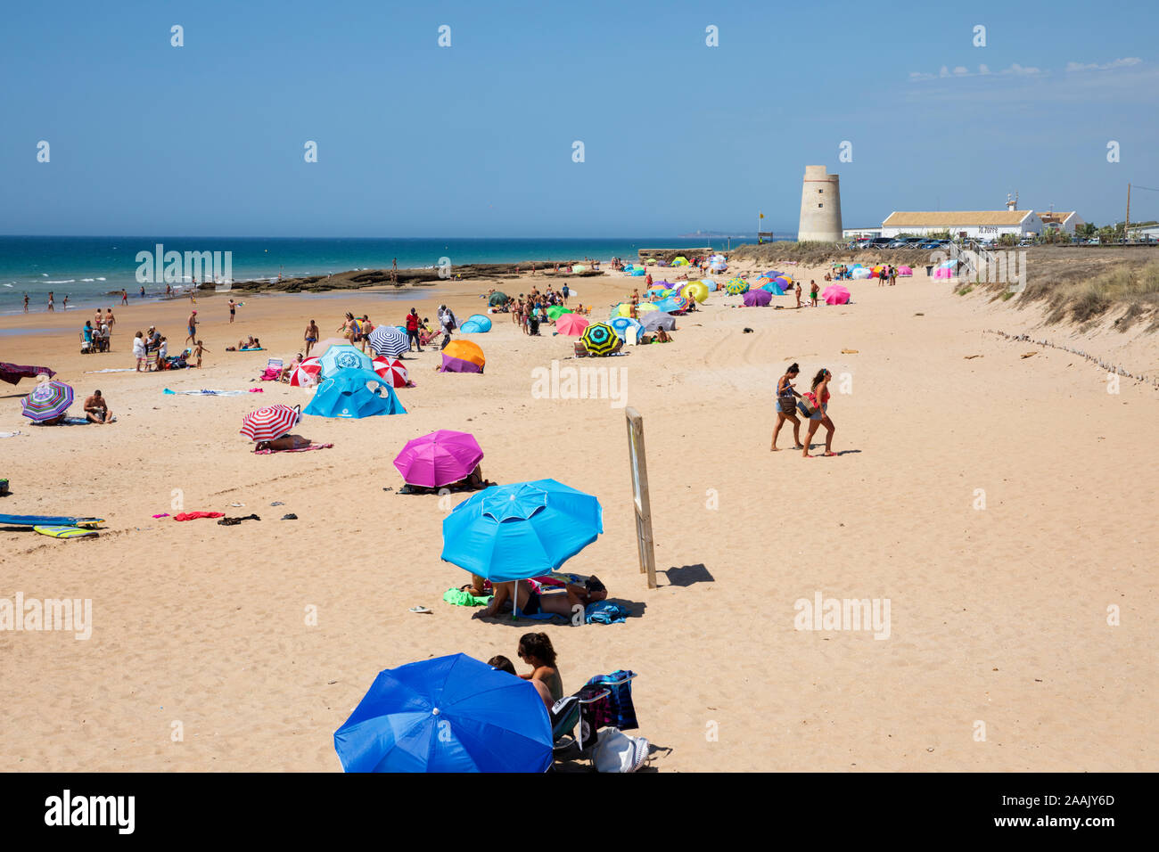 Blick entlang weisser Sandstrand an einem Sommernachmittag, El Palmar de Vejer, Costa de la Luz, Provinz Cadiz, Andalusien, Spanien, Europa Stockfoto