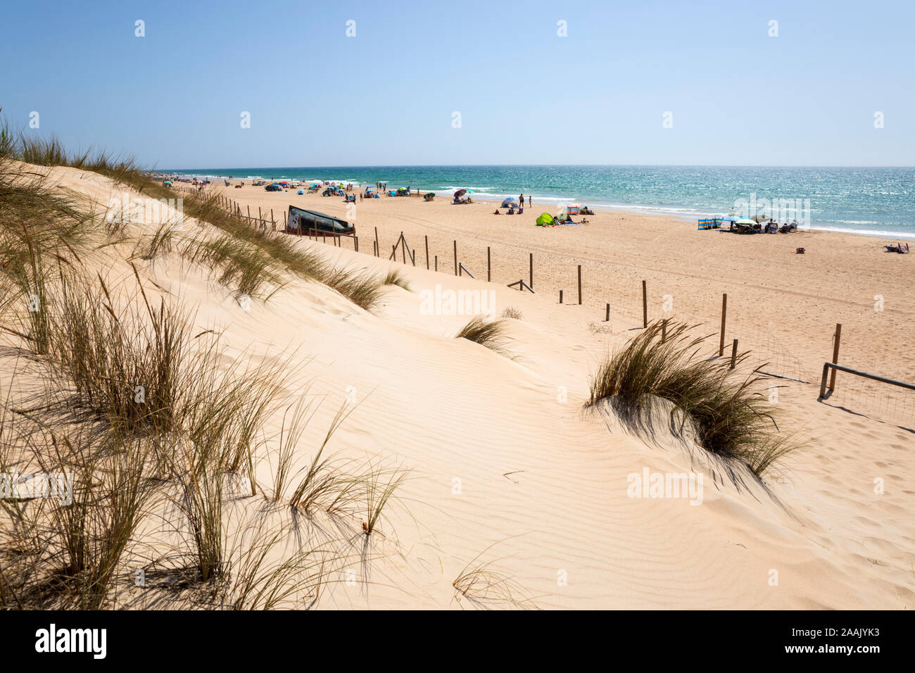 Blick entlang weisser Sandstrand an einem Sommernachmittag, El Palmar de Vejer, Costa de la Luz, Provinz Cadiz, Andalusien, Spanien, Europa Stockfoto