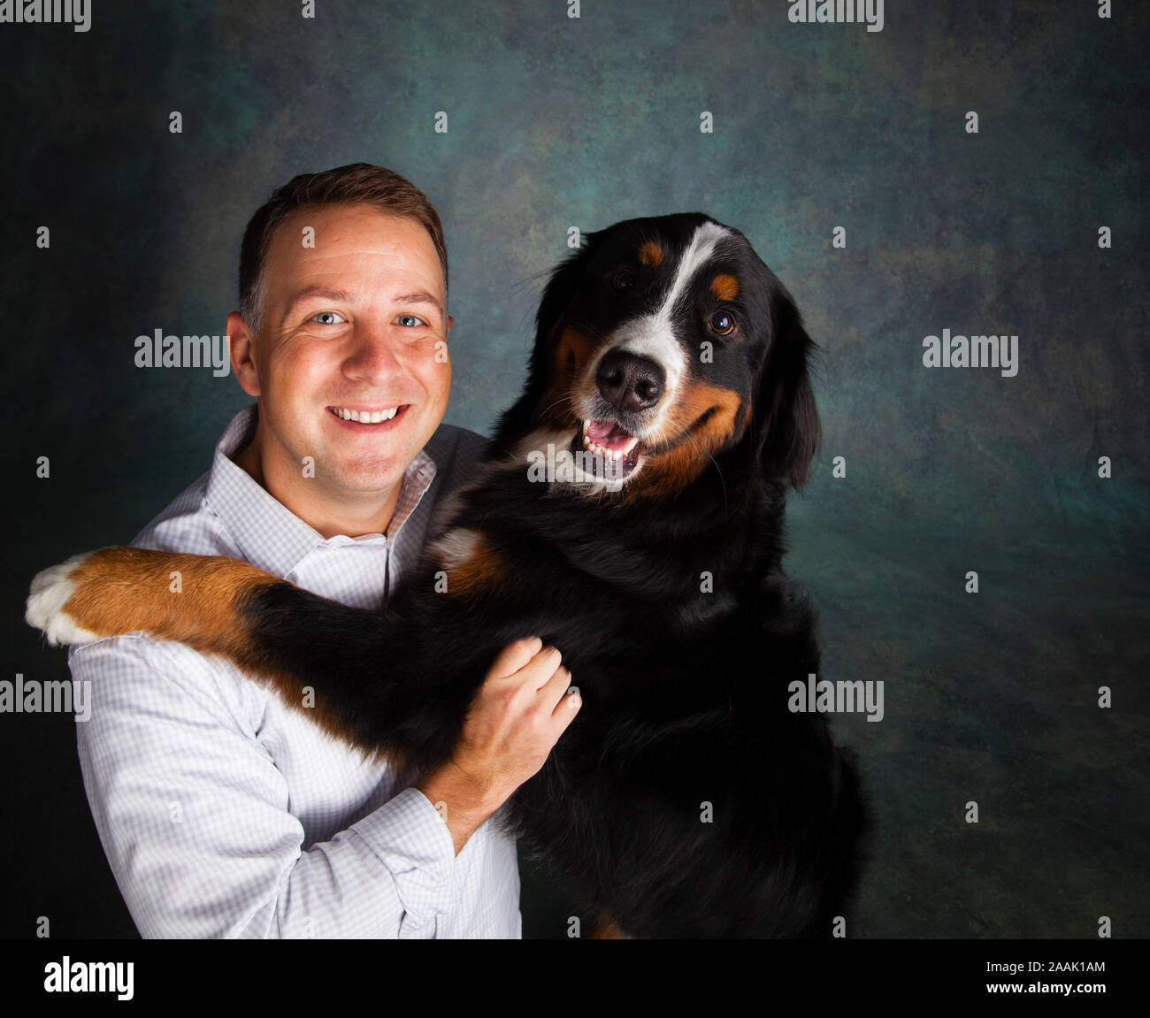 Porträt eines Mannes mit Berner Sennenhund Stockfoto