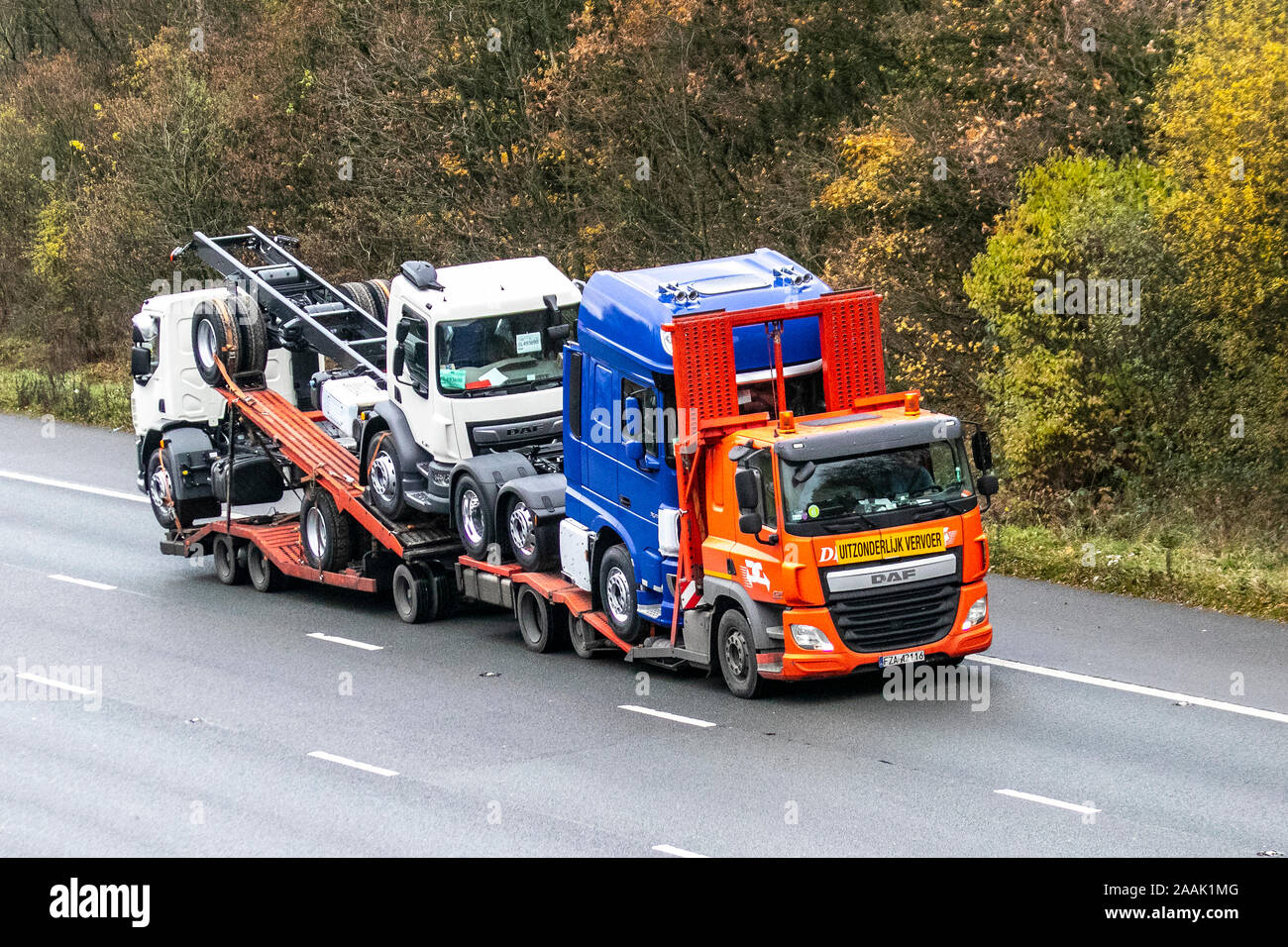 Autotransporter; Uitzonderlijk Vervoer, Belgien Überdimensionierung der Last neue kommerzielle Daf CF-Traktoreinheiten; EU-ausländische Schwere Transportfahrzeuge, niederländische Lastkraftwagen, Transport, LKW, Exportfrachtträger, Fahrzeug, kommerzieller Transport, außergewöhnliche Konvoi-Industrie, M61 bei Manchester, Großbritannien Stockfoto