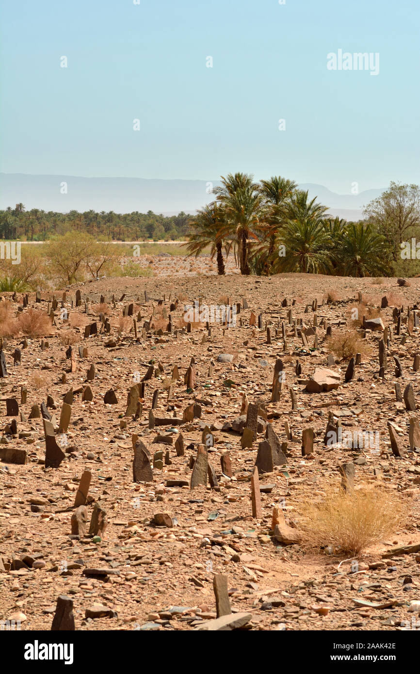 Einen islamischen Friedhof im Draa Tal. Marokko Stockfoto