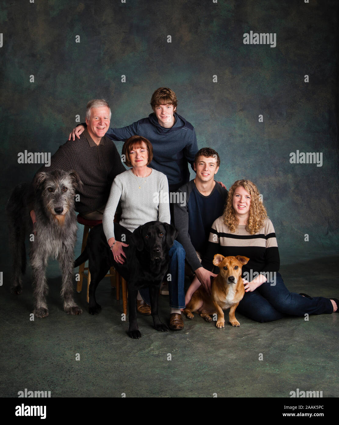 Studio Portrait von Familie mit drei Hunde Stockfoto
