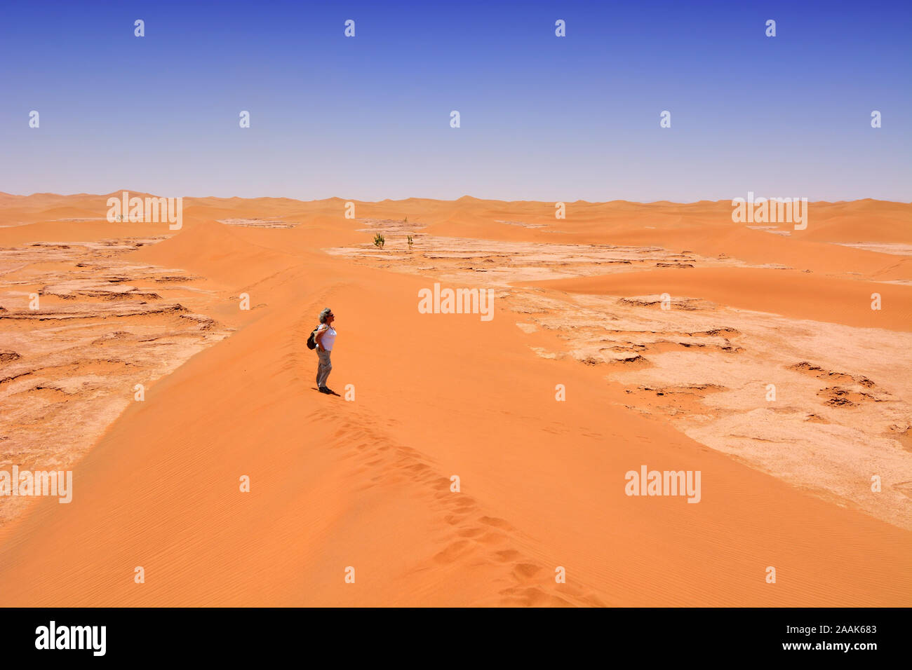 Erg Chigaga Sand Dünen, Wüste Sahara. Marokko Stockfoto