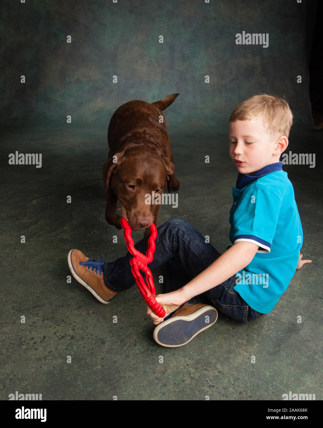 Portrait der Junge spielt mit Schokolade Labrador Stockfoto