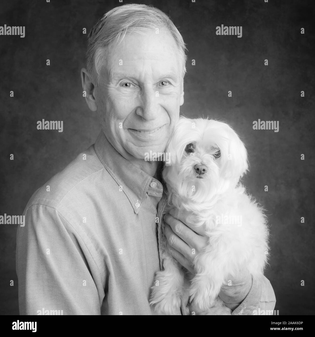 Portrait von älteren Mann mit Malteser Hund Stockfoto
