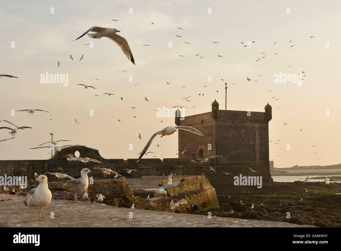 Im 18. Jahrhundert nach Süden Bastion, Skala du Port, in der Dämmerung. Ein UNESCO-Weltkulturerbe, Essaouira. Marokko Stockfoto