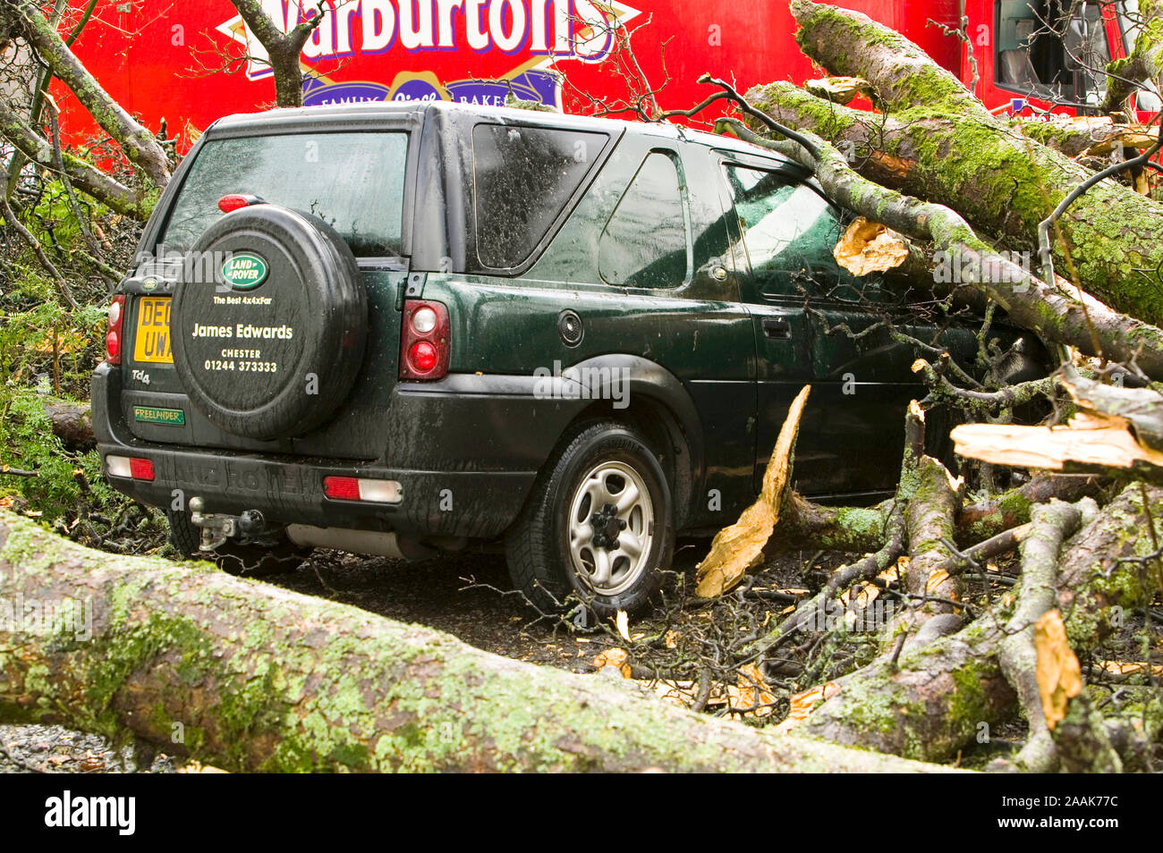 Klimagerechtigkeit. Der gleiche Sturm stürzte dieser Baum auf einem Chelsea Traktor bei Rydal, Cumbria, Großbritannien. Stockfoto
