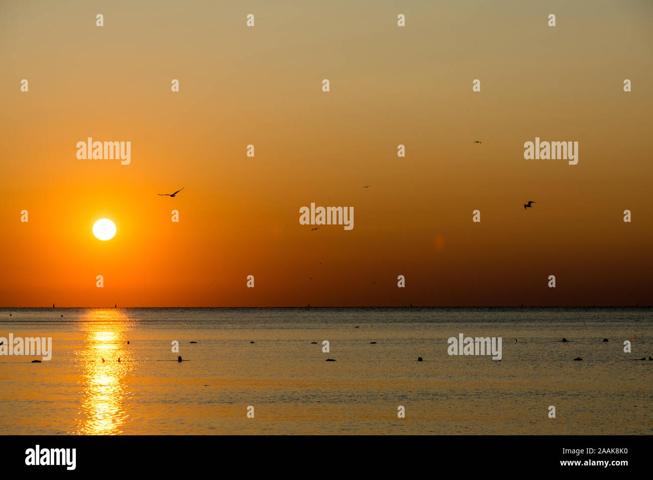 Ruhige Szene von Sonnenaufgang am Meer Stockfoto