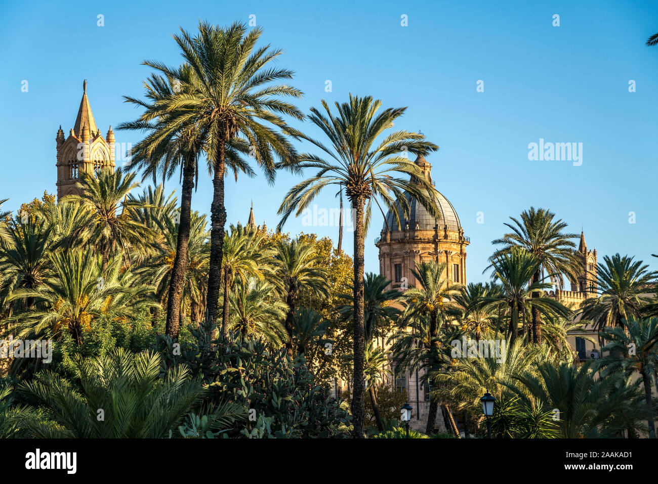 Palmen im Park der Villa und die Türme der Kathedrale Maria Santissima Assunta, Palermo, Sizilien, Italien, Europa | Park Villapalm Bäume und die cathe Stockfoto