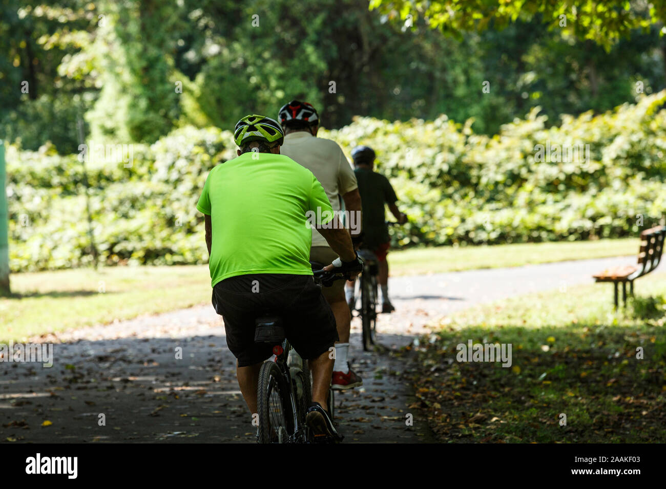 Aktiv alternde, drei ältere Fahrradfahrer in einer Reihe von hinten, als sie aus dem Schatten in helles Sonnenlicht tauchen. Aktive männliche Senioren trainieren. Stockfoto