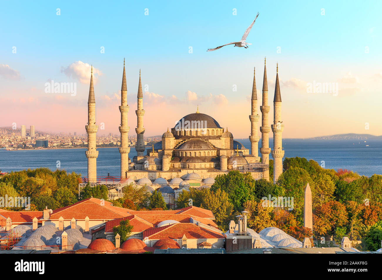 Berühmte Sultan Ahmet Moschee oder der Blauen Moschee, eine der bekanntesten Sehenswürdigkeiten von Istanbul Stockfoto