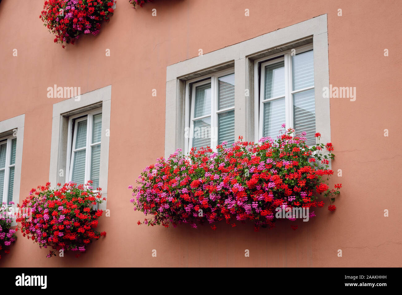 Nahaufnahme einer Fassadendekoration. Fenster mit schönen roten und rosa Blumen, Rothenburg ob der Tauber, Bayern, Deutschland. Stockfoto