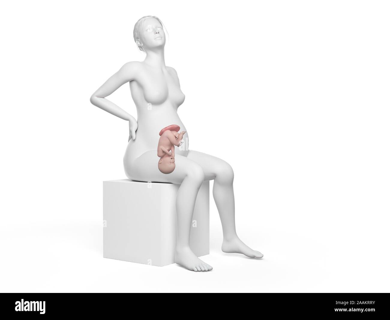 Schwangere Frau mit Rückenschmerzen, computer Abbildung. Stockfoto