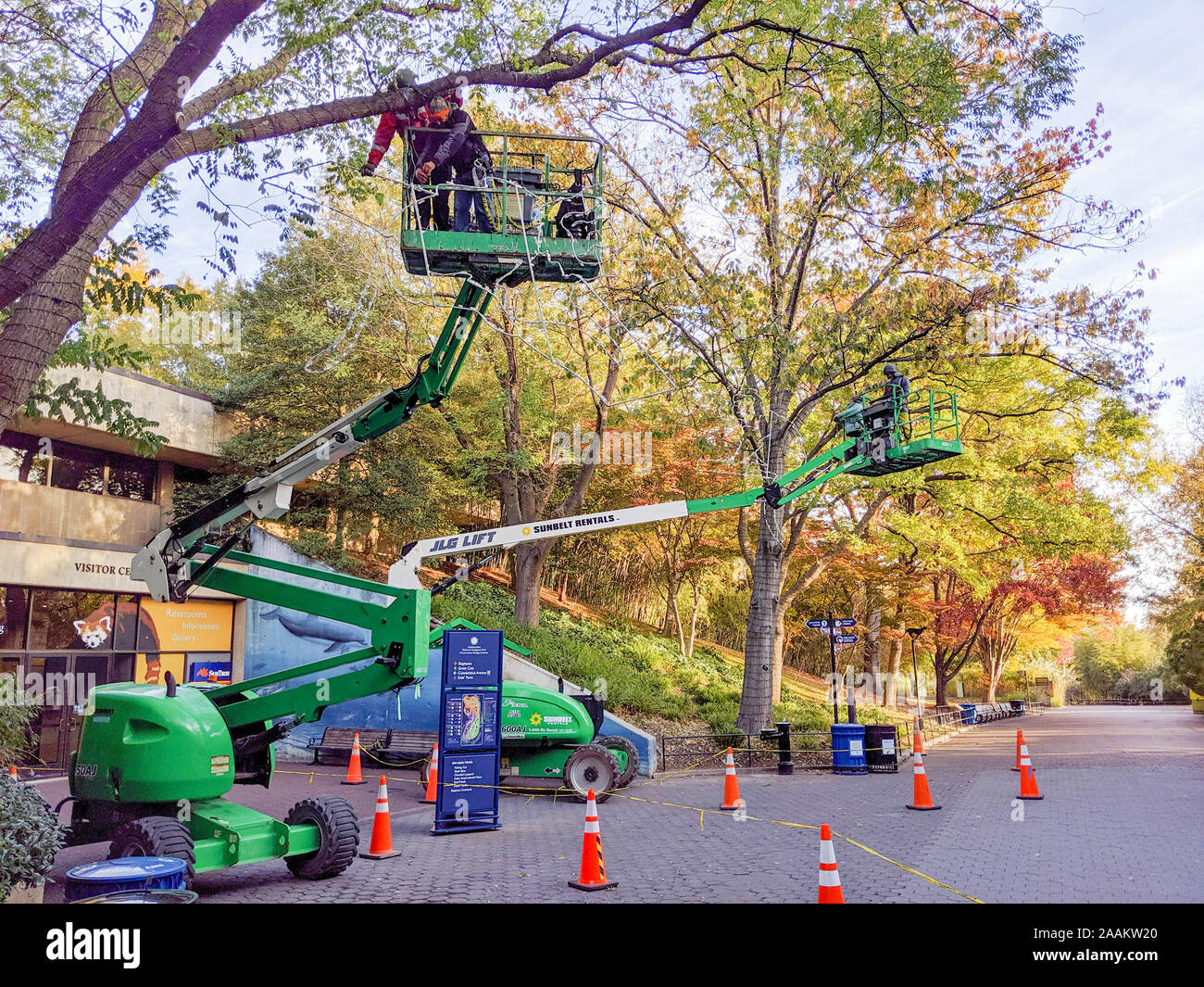 Grundstück in Cherry Picker Krane Bäume an den National Zoo in Washington, DC, 2019 autumne beschneiden. Stockfoto
