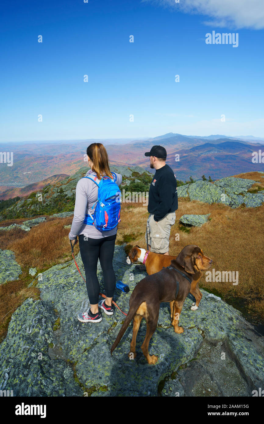 Wandern Paar mit zwei Hunden auf dem Gipfel des Camel's Hump, Vermont, USA. Stockfoto